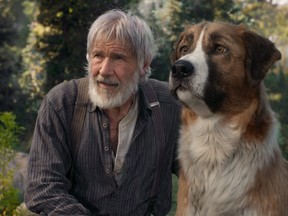 Harrison Ford plays a prospector with a soft spot for a dog in "The Call of the Wild." (Twentieth Century Fox)