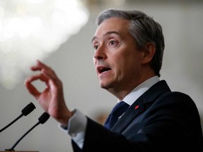 Canadian Minister of Foreign Affairs Francois-Philippe Champagne  addresses a press conference, at the High Commission of Canada in London, on Jan. 16, 2020.