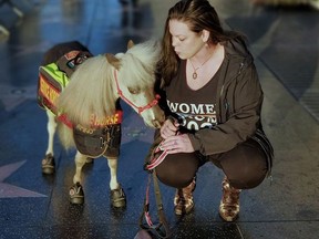 Ronica Froese poses with her miniature service horse Freckle Butt Fred on the Hollywood Walk of Fame in Los Angeles, on Feb. 13, 2020.