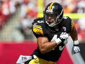 Pittsburgh Steelers safety Troy Polamalu is among the 2020 class of inductees into the Pro Football Hall of Fame. (File photo)