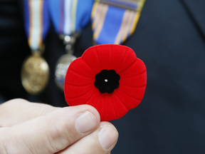File photo of a poppy. The former director of the Royal Canadian Legion's poppy division has been accused of raping an underling at a drunken convention in a Winnipeg hotel.