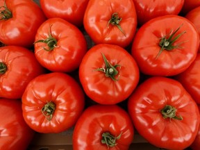 A virus is threatening tomatoes, peppers and chili plants in France, says its food safety agency.