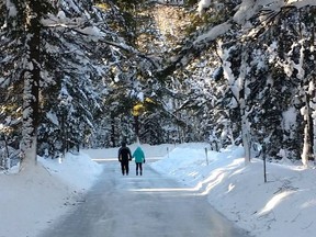 A magical skate through the Canadian forest, the Arrowhead Ice Skating Trail was named one of the world's most stunning natural rinks by Travel + Leisure. Arrowhead Provincial  Park is located at Huntsville.