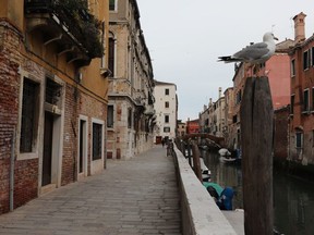 A seagull is seen at an empty fondamenta della Misericordia on March 9, 2020 in Venice, Italy.