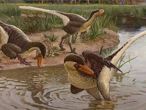 Reconstruction of Dineobellator notohesperus and other dinosaurs from the Ojo Alamo Formation at the end of the Cretaceous Period in New Mexico, showing three Dineobellator individuals near a water source in an illustration released by the State Museum of Pennsylvania in Harrisburg, Penn., March 26, 2020.  (Sergey Krasovskiy/Handout via REUTERS)