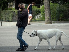 A man wearing a face mask as a preventive measure walks a dog in Madrid on March 19, 2020.