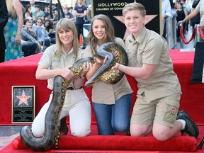 Terri Irwin, Bindi Irwin and Robert Irwin attend Steve Irwin being honored posthumously with a Star on the Hollywood Walk of Fame on April 26, 2018 in Hollywood. (David Livingston/Getty Images)