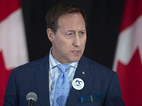 Peter MacKay addresses the crowd at a federal Conservative leadership forum during the annual general meeting of the Nova Scotia Progressive Conservative party in Halifax on Saturday, Feb. 8, 2020.