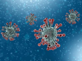 Microscopic view of coronavirus, a pathogen that attacks the respiratory tract.