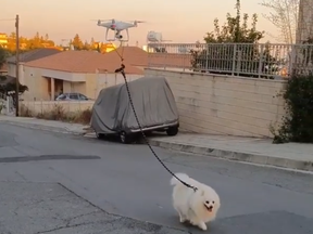 A man in Cyprus used a drone to walk his dog. Instagram