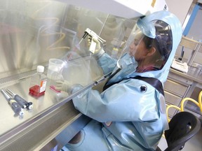 An expert works at the National Microbiology Laboratory in Winnipeg. during H1N1 flu pandemic.