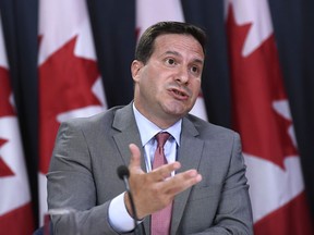 Liberal MP Marco Mendicino speaks at a press conference in Ottawa on July 22, 2019.