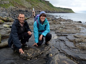University of Edinburgh scientists Steve Brusatte and Paige dePolo pose at a dinosaur footprint site on the Isle of Skye in Scotland in a picture released March 11, 2020.
