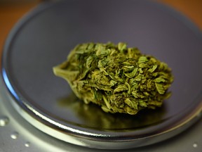 This file photo taken on August 1, 2018 shows cannabis at a police station in Brest, France. (FRED TANNEAU/AFP/Getty Images)