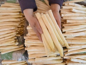 A vendor holds asparagus for sale at a stall in Berenbostel, Germany, on April 20, 2015. (HOLGER HOLLEMANN/AFP/Getty Images)