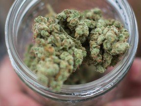 A vendor displays marijuana for sale during the 4-20 annual marijuana celebration, in Vancouver, B.C., on Friday April 20, 2018.