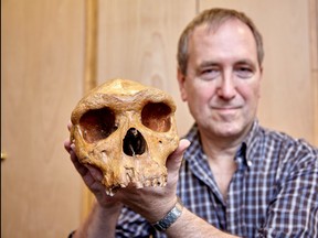 The Natural History Museum's Professor Chris Stringer is seen holding the Broken Hill skull, Homo heidelbergensis, a fossil of an extinct human species found in Zambia in 1921 in this undated image provided to Reuters March 31, 2020.  (Kevin Webb/NHM Image Resources/The Trustees of the Natural History Museum in London/Handout via REUTERS)