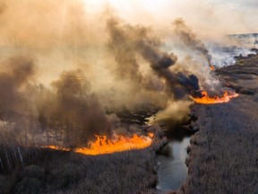 This picture taken on April 10, 2020, shows a field burning in the 30-kilometre Chernobyl exclusion zone, not far from the nuclear power plant.