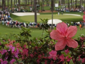 Azaleas bloom A view of the 16th green at Augusta National with azaleas blooming in the foreground. (The Associated Press/File Photo)