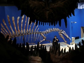 Makoto Manabe, a researcher at the National Museum of Nature and Science, speaks to reporters in front of a Spinosaurus's skeleton replica as he is seen through the Tyrannosaurus's skull replica during a preparation and media preview for the Dinosaur EXPO at the National Museum of Nature and Science in Tokyo, Japan, March 1, 2016.