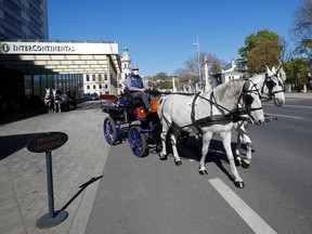 A Fiaker horse carriage is on its way to deliver food packages during the coronavirus outbreak in Vienna, Austria April 8, 2020. (REUTERS/Leonhard Foeger)