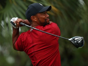 Tiger Woods plays his shot from the 13th tee during The Match: Champions For Charity last weekend. Tiger is healthy and should be a big threat this summer.