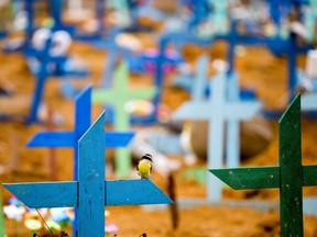 A bird is pictured over a cross during a mass burial of people who passed away due to COVID-19, at the Parque Taruma cemetery in Manaus, Brazil, on May 13, 2020.
