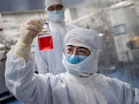 An engineer looks at monkey kidney cells as he makes a test on an experimental vaccine for COVID-19 inside the Cells Culture Room laboratory at the Sinovac Biotech facilities in Beijing, April 29, 2020.
