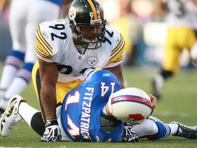 James Harrison of the Pittsburgh Steelers rises after hitting Ryan Fitzpatrick of the Buffalo Bills during their game at Ralph Wilson Stadium on November 28, 2010 in Orchard Park, New York.