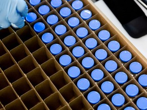 A lab technician loads bright stock filled vials of investigational COVID-19 treatment drug remdesivir at a Gilead Sciences facility in La Verne, Calif., March 11, 2020.