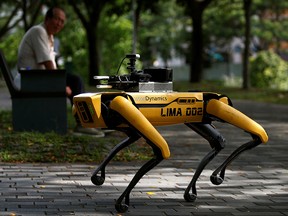 A four-legged robot dog called SPOT patrols a park as it undergoes testing to be deployed as a safe distancing ambassador, following the coronavirus disease (COVID-19) outbreak, in Singapore, May 8, 2020.