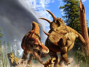 A Daspletosaurus (centre left), a close relative of T. rex that shared its way of moving, chases down a Spinops with a Coronasaurus (right) looking on in a handout ilustration.