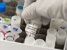 In this file photo Dr. Nita Patel, Director of Antibody Discovery and Vaccine Development, lifts a vial with a potential COVID-19 vaccine at Novavax labs in Rockville, Maryland on March 20, 2020.