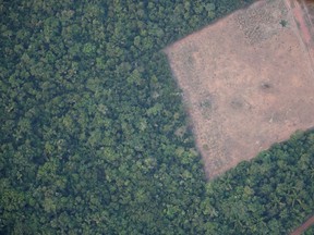 An aerial view shows a deforested plot of the Amazon near Porto Velho, Rondonia State, Brazil August 21, 2019.