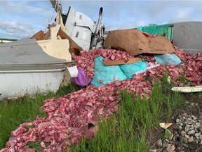 A mountain of raw beef poured out from a refrigerated transport truck after it crashed into a cement arch at an overpass near the Highway 616 Millet overpass and the Queen Elizabeth II Highway northbound on Wednesday. June 24, 20202.