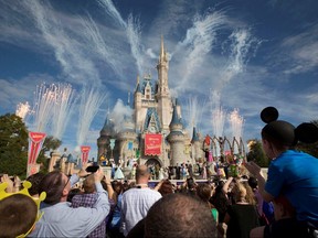 Fireworks go off around Cinderella's castle during the grand opening ceremony for Walt Disney World's new Fantasyland in Lake Buena Vista, Florida December 6, 2012.