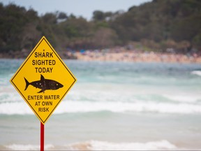 A sign in Australia warns of a shark sighting in this file photo.