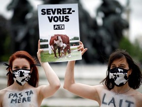 Activists from the People for the Ethical Treatment of Animals hold a placard reading "Wean yourself" as they demonstrate against the cruelty of the dairy industry at the Place de la Nation square in Paris, France, Friday, June 5, 2020.