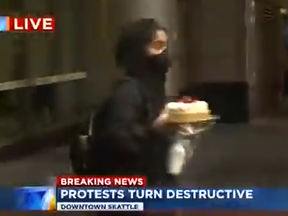 During live coverage of riots in Seattle, a woman can been seen swiping a cheesecake from the Cheesecake Factory.