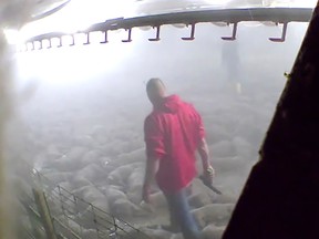 Footage from Iowa Select Farms, the largest pork producer in the state, showing the mass-extermination of pigs.