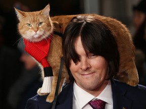 Bob the cat, and James Bowen are pictured at the premiere of A Street Cat Named Bob in London, Nov. 3, 2016.