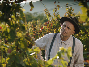 Clip from the film, From the Vine starring award-winning actor Joe Pantoliano.