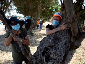 People take part in a campaign by Israel's Nature and Parks Authority calling on Israelis to join sightseeing tours and find comfort in tree hugging amid a spike in the coronavirus disease (COVID-19), in Apollonia National Park, near Herzliya, Israel July 7, 2020.