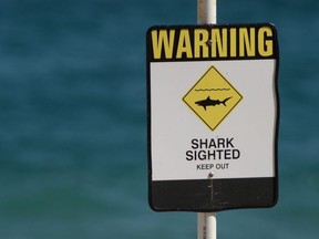 This file photo taken on January 17, 2015 shows a shark warning sign on the beach.