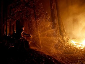 Cal Fire firefighter Anthony Quiroz douses water on a flame as he defends a home during the CZU Lightning Complex Fire in Boulder Creek, Calif. Friday, Aug. 21, 2020.