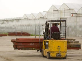 A load of lumber gets moved out of the way at the new Beleave greenhouses located just south of Glanworth on Wellington Road in London, Ont., May 9, 2019.