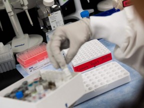 In this file photo Dr. Nita Patel, Director of Antibody discovery and Vaccine development, lifts a vial with a potential COVID-19 vaccine at Novavax labs in Gaithersburg, Maryland on March 20, 2020.