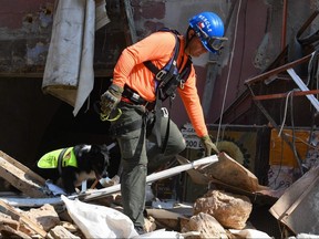 A Chilean rescue worker and a dog search for victims through the rubble of a building that collapsed in the August 4 explosion at the nearby Beirut seaport on September 2, 2020.