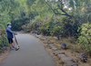 Marc Estoque was walking with his son through Golden Gate Park in San Francisco, California, recently when they encountered 14 raccoons.