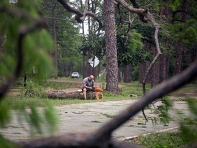 A man sits on a downed tree after Hurricane Sally made landfall, on Dauphin Island, Alabama, U.S., September 16, 2020.